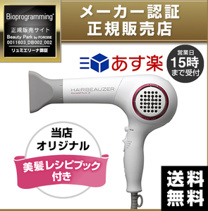 リュミエリーナ ヘアビューザー エクセレミアム 2 Hbe2 G 正規販売店